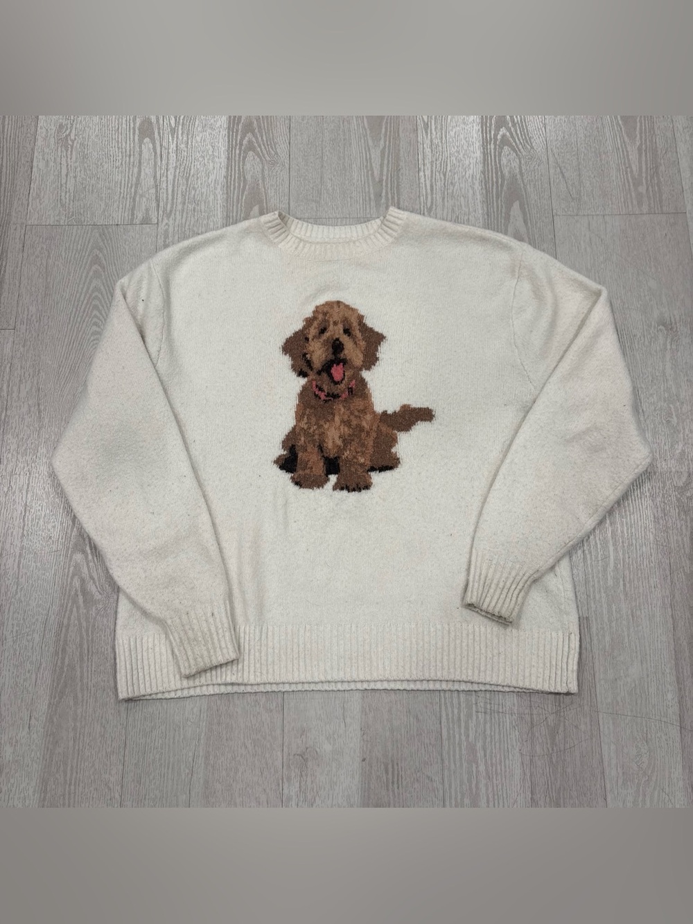 Hollister Cream Puppy Intarsia Knit Sweater
